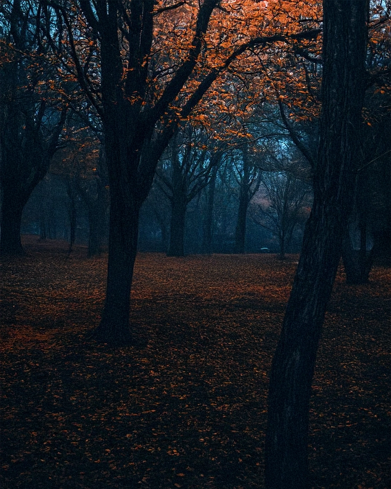 Rokende november – headerbeeld