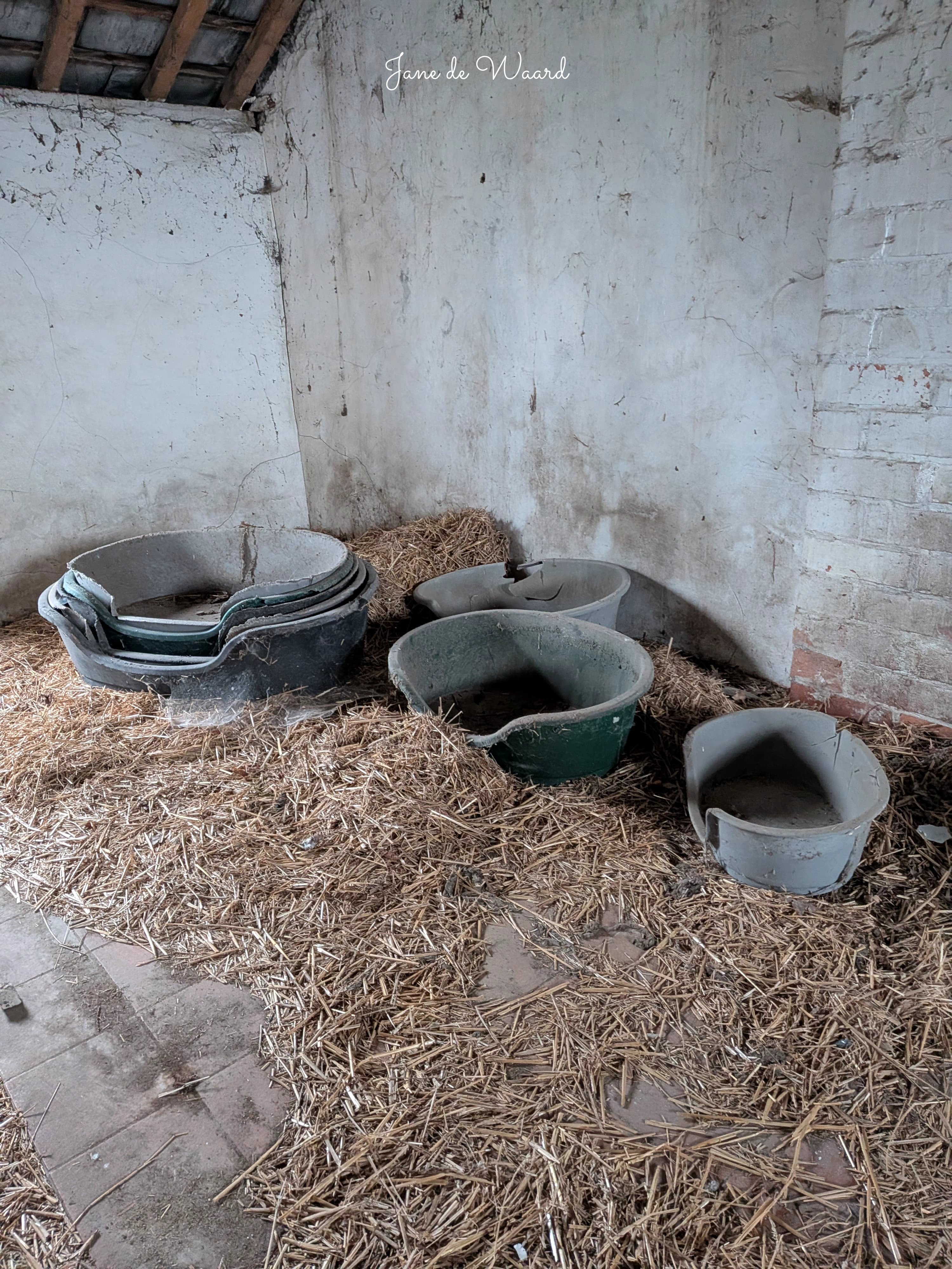 Ferme Bruyère - Detail 1