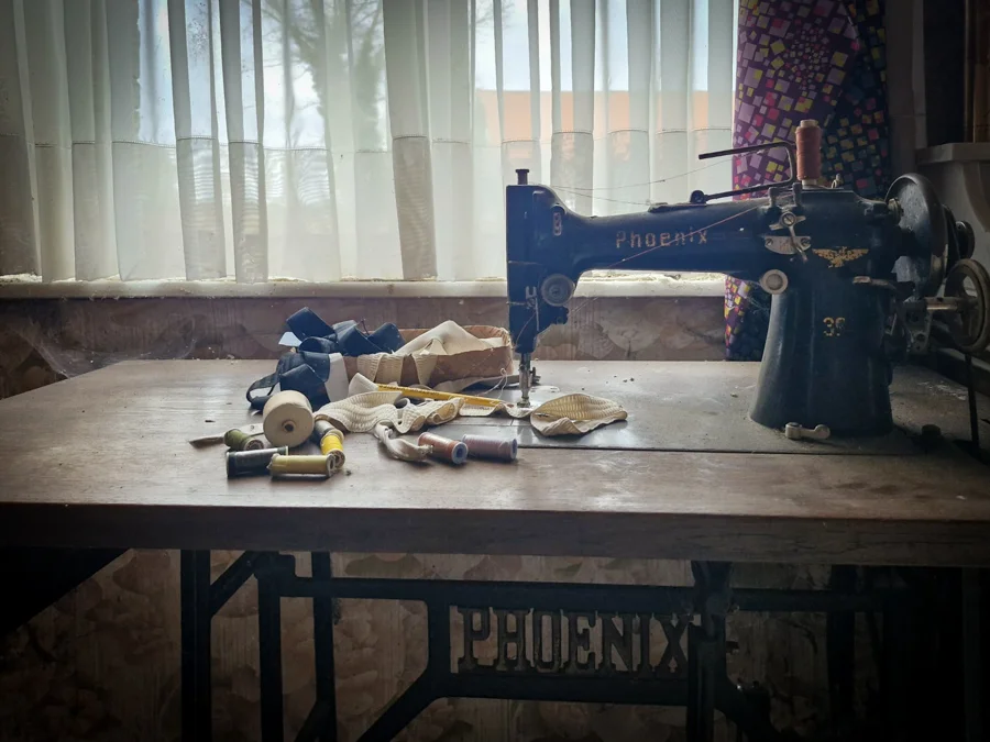 Overwoekerde toegangspoort tot het terrein van Farm Zarren