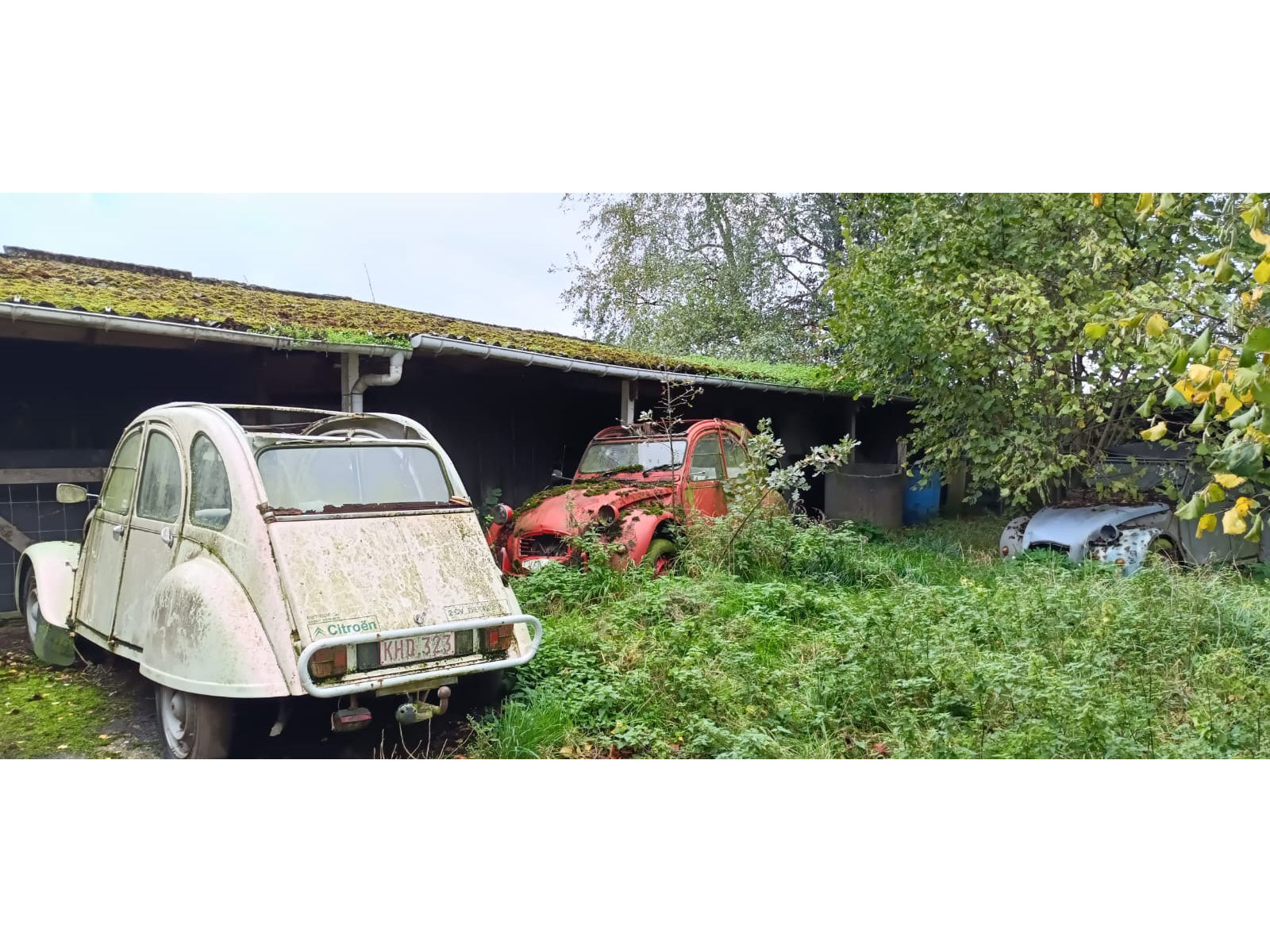 Overzicht van verlaten Citroen 2CV auto's op het terrein van Maison Goat